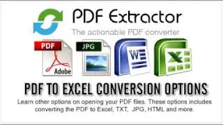 PDF to Excel Conversion Options
