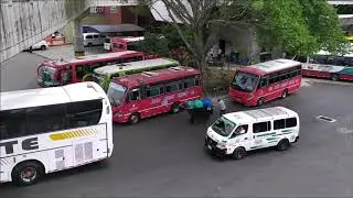 Buses desde Medellin Agosto 2019