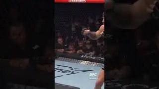 Льются удары! #ufc325