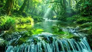 Forest Symphony of Flowing Stream and Birds Singing, Natural Water Sounds for Calm and Focus