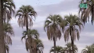 parque nacional el palmar resumen