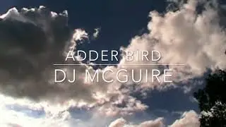 ADDER BIRD by DJ McGuire