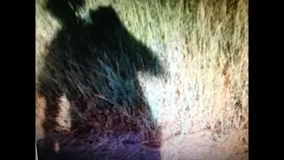 S3: E11 Aussie Coin Hunter 
