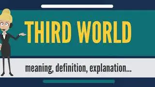 What is THIRD WORLD? What does THIRD WORLD mean? THIRD WORLD meaning, definition & explanation