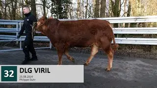 32 DLG VIRIL