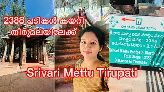 Srivari Mettu To Tirupati 🙏2388 പടികൾ കയറി മലയിലേക്ക്‌ 😳|tirupati|sarisway