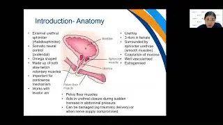Keep Your Bladder Healthy Webinar - 9 Dec 2021
