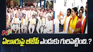 BJP Special Focus on Eluru Parliament Seat l AP Elections 2024 l Modi l NTV