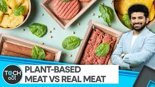 Купили бы вы мясо растительного происхождения? | Tech It Out