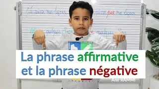 La phrase affirmative et la phrase négative