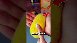 Питомец- манго. 🥭 молодежный тренд #шортс #хочуфакты