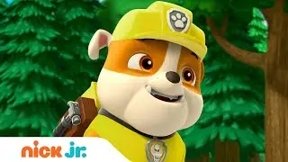 PAW Patrol | The pups go camping! | Nick Jr.