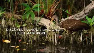 Stay More, Pay Less; Discover a Sanctuary of Nature
