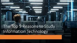 The Top 5 Reasons to Study Information Technology