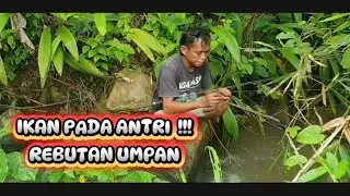 Spot tersembunyi jarang tejamak pemancing
