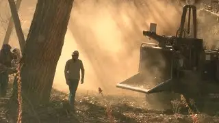 Water managers push for funding to remove invasive plants from the bosque