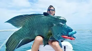 This Fish Is a Giant! MONSTER Māori Wrasse Catch!
