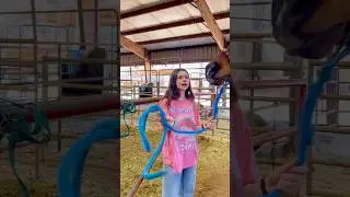 Beginner Vs Experienced Horse Owners! 🐴 #shorts #animals