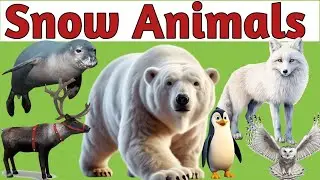 Snow Animals for Children || Polar Bear, Penguin, Seal || Learn Animal Names in Hindi