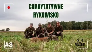 #8 Charytatywne Rykowisko / Red stag hunting in Poland