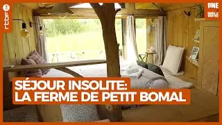 Séjour insolite à La Ferme de Petit Bomal | Une brique dans le ventre