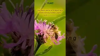 What Is the Definition of a Plant? | Simple Science for Everyone! #plantanatomy #weirdplants