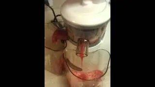 Omega Juicer VRT330-HD