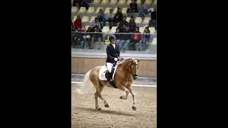 EUCH 2018 Freestyle Sting Classwei Af &Aring;tte Bjerge