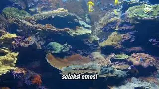 &ldquo;Hidup Dewasa Itu Lucu, Tapi Kita Capek Ketawa&rdquo;?? #kontenkita