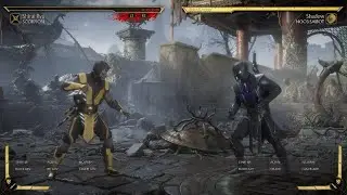Practicing Sin Blade Combos