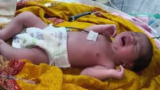 Crying Baby Bird in NICU#BabyBird#CryingBird#NICU#TinyLife#Hope#NewLife#AnimalCare#Emotional#Save