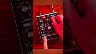 Satisfaction Guaranteed #benidub #fxpedal #fxpedals #analogsynth #shorts