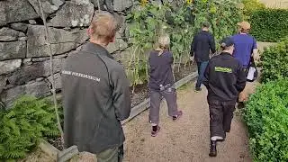 Dry stone wall analysis