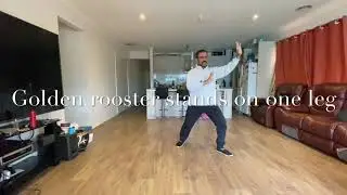 Tai Chi Bare hands & weapons forms