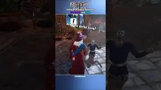 Unique Dialogue Between Elminster and Volo - Baldur's Gate 3