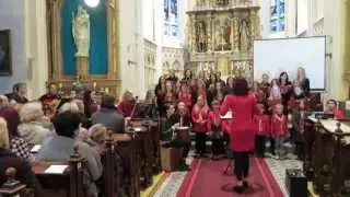 Můj Králi, má Spáso, Koncert k 20. výročí Scholy v Hlučíně
