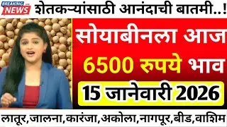 सोयाबीनला आज सर्वाधिक 6500 रु भाव| soyabean bajar bhav today|soyabean bhav today