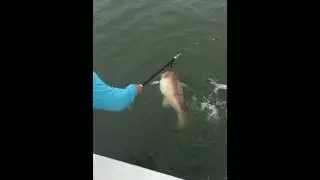 Otis biggest fish he's ever caught