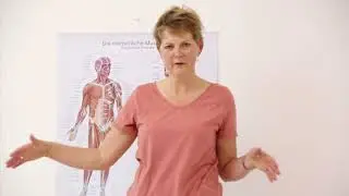 Becken & Beckenboden: Intro zu den &Uuml;bungen