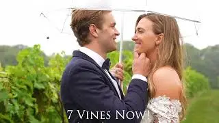 5 Years at 7 Vines Vineyard