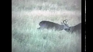 Bushlan Camo and Robbie Carter Hunting Whitetail Deer in South Texas