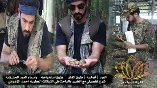 أنواع وأسعارالعود الطبيعي | طرق الغش  | طرق استخراجه مع الخبير والباحث في النباتات العطريه احمد محمد