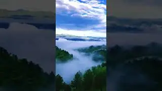 New Garhwali song 2022 #shortvideo #garhwalisong #negiji #garhwalishorts #ssrawatuk11#trend