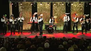 BOROVIENKA - Spadla mi šablička