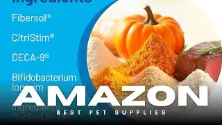 🐶 Support Digestion! Good Tummy Probiotic Chews &mdash; Healthy Gut & Less Gas 🧬