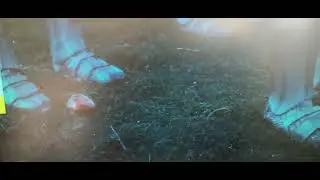 Doctor who Cybermen 2017 Persia apple