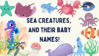 Learn Sea Animals And Their Babies Names In English | #SeaAnimals | Ocean Animals for Kids