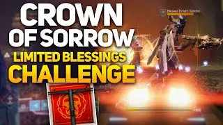 How to Complete the Limited Blessings Challenge in the Crown of Sorrow Raid!