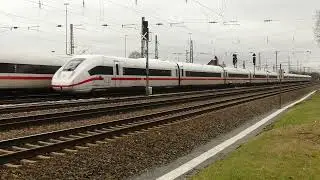 Riedbahn bei Mannheim Schönau am 14. Februar 2024
