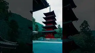 Japan 🗿 #nature #adventure #lifestyle #mindset #shorts #viral #japan #success #motivation #music